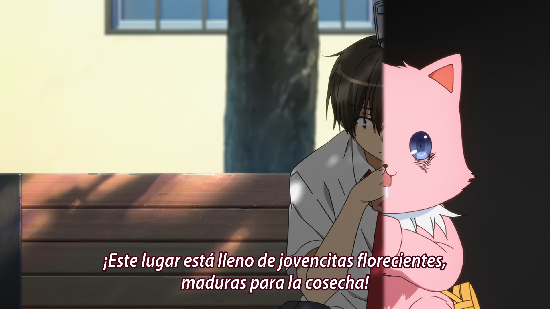 Amagi Brilliant Park (Misubs)